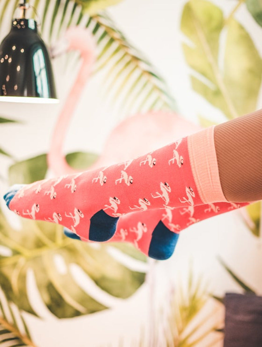 Party on, Flamingos!