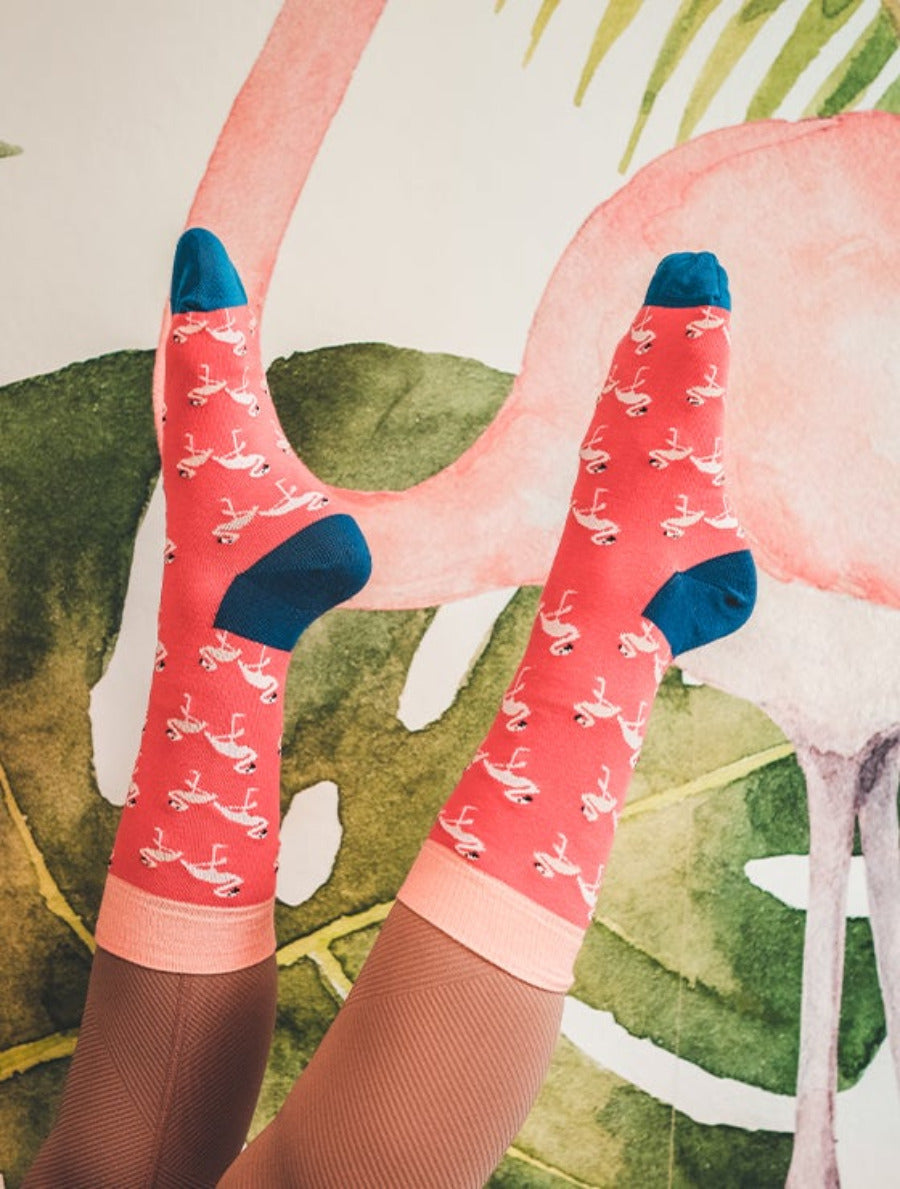 Party on, Flamingos!