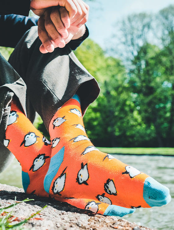 Penguin Gang