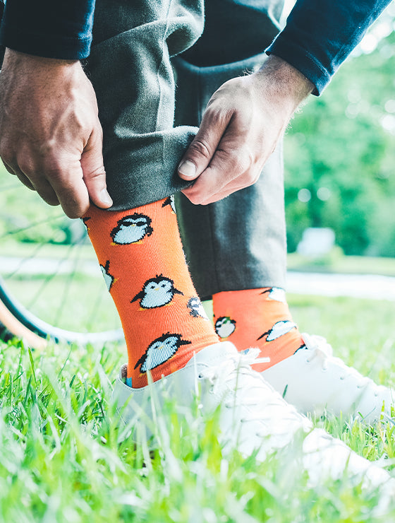 Penguin Gang