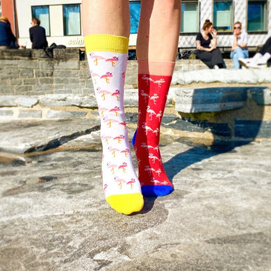 Bunte Socken mit Flamingo-Motiv “Flamingo Party” von We are Socks!  Hand gekämmte Biobaumwolle Angenehmer Tragekomfort Gute-Laune-Drops in Sockenform