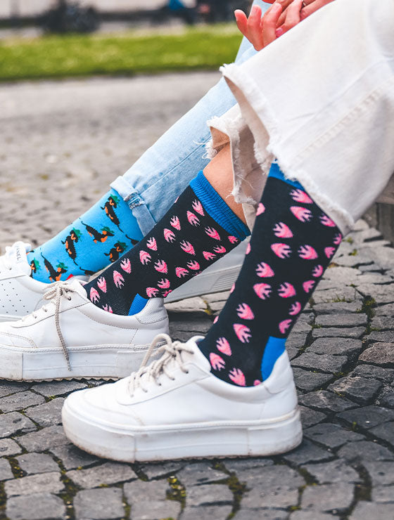 Fischsocken mit Fische-Motiv “Funky Aquarium” von We are Socks! ✓Hand gekämmte Biobaumwolle ✓Angenehmer Tragekomfort ✓Bunte Socken ✓Design Socken ✓Good Mood Socken